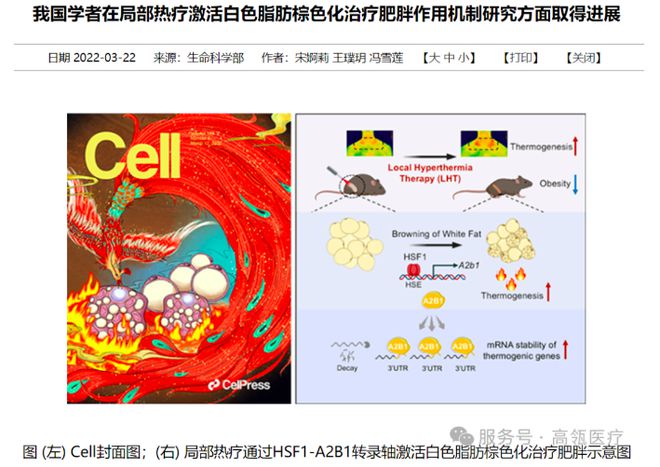 000-CD正式入驻北京维凯尔医疗美容医院CQ9电子游戏网站热-氧全身热疗系统GL3(图3)
